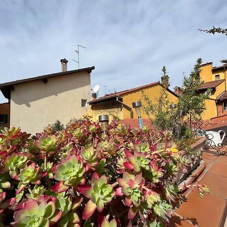 Margherita Apartment W/ Terrace 博洛尼亚 外观 照片