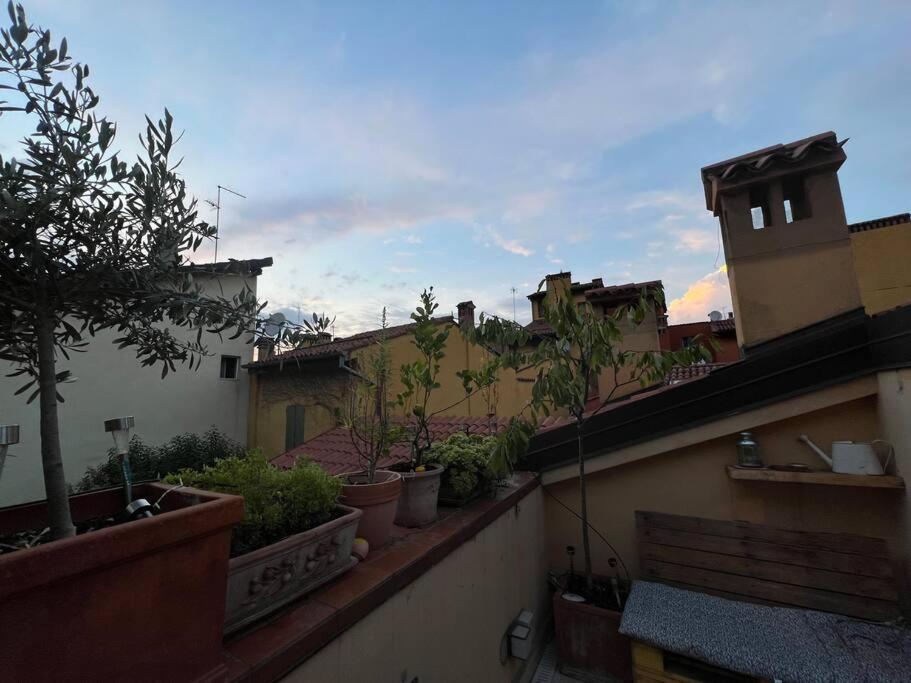 Margherita Apartment W/ Terrace 博洛尼亚 外观 照片